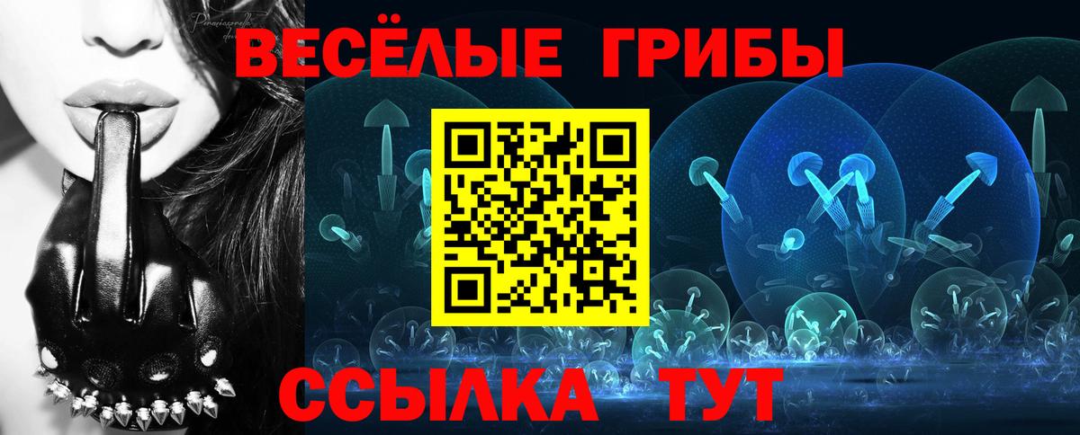Галлюциногенные грибы Cubensis  Вход с VPN  Зеленокумск 